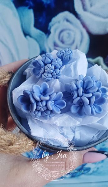Forget-me-not Blue Series