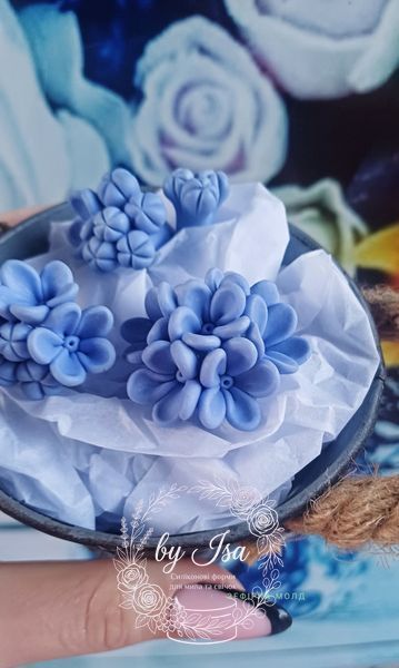 Forget-me-not Blue Series