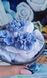 Forget-me-not Blue Series