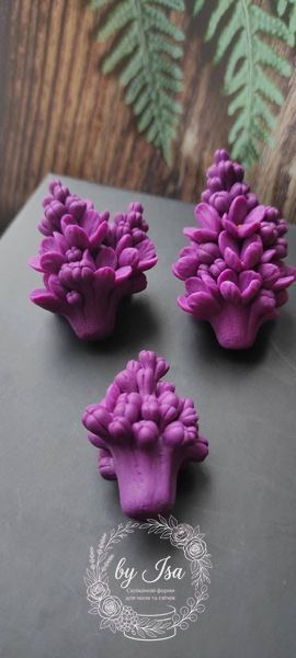 Lilac. Series