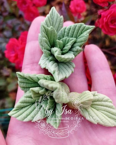 Sprig of leaves is large. Blackberry, raspberry.