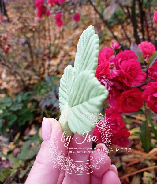 Strawberry leaves triple