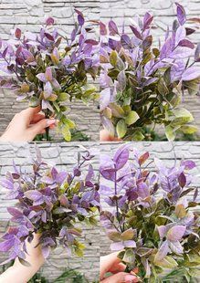Basil, Violet