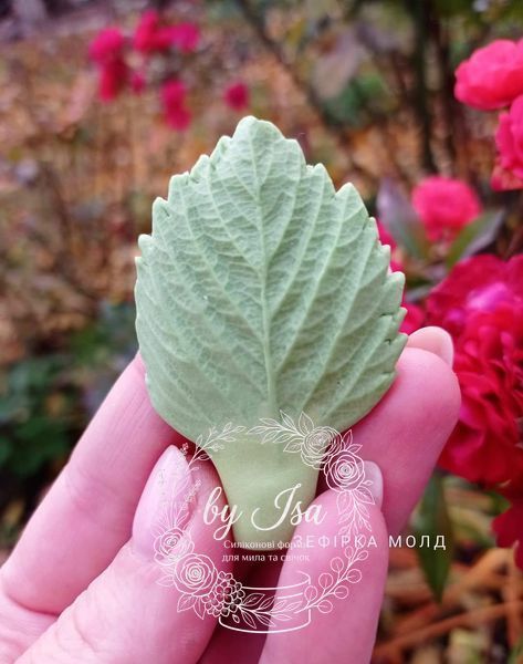 Strawberry Leaves