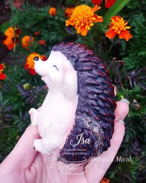 Hedgehog