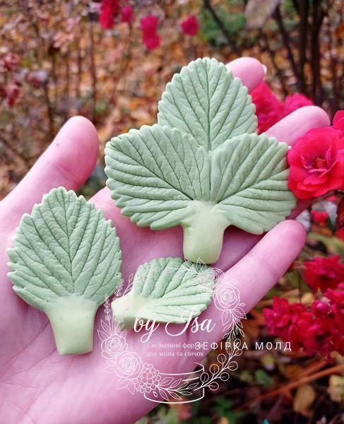 Strawberry Leaves