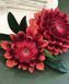 Dahlia red. Series, flower