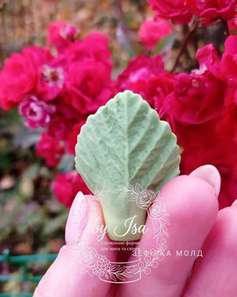 Strawberry leaves. Small