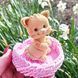 Domestic cat