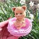 Domestic cat
