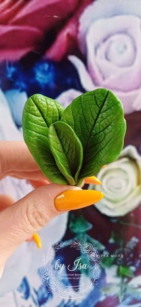 Primrose Garden. Leaf.