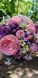 Dark Blackberry Series