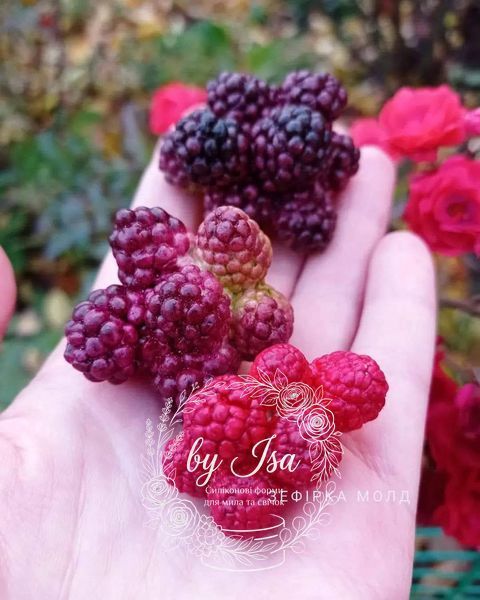 Dark Blackberry Series