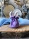Bag with ears