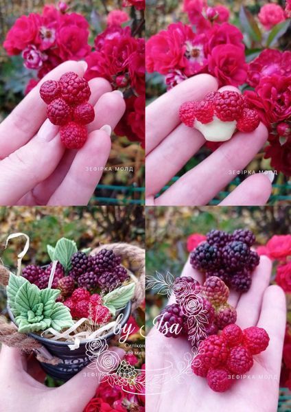 Blackberry - Raspberry inflorescence small