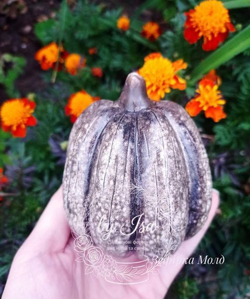 Large oval pumpkin