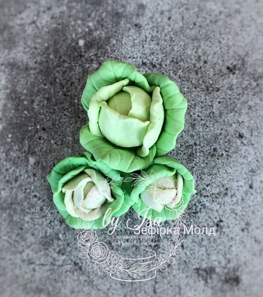Cabbage Mini, 3 on the form