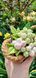 Blackberry white - pink. Inflorescence
