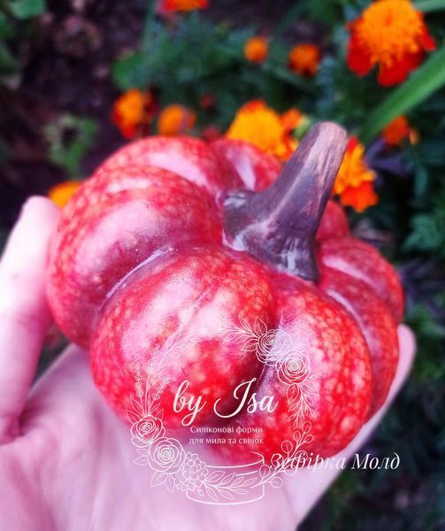 Large round pumpkin