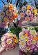 Dahlia daisy Nino