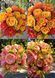 Dahlia Tubular Mini