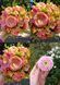 Dahlia Wizard of Oz