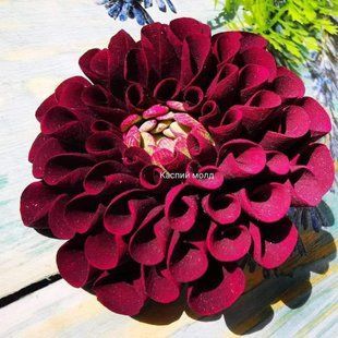 Dahlia Tubular