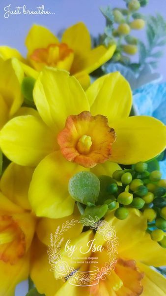 Blushing Lady Narcissus