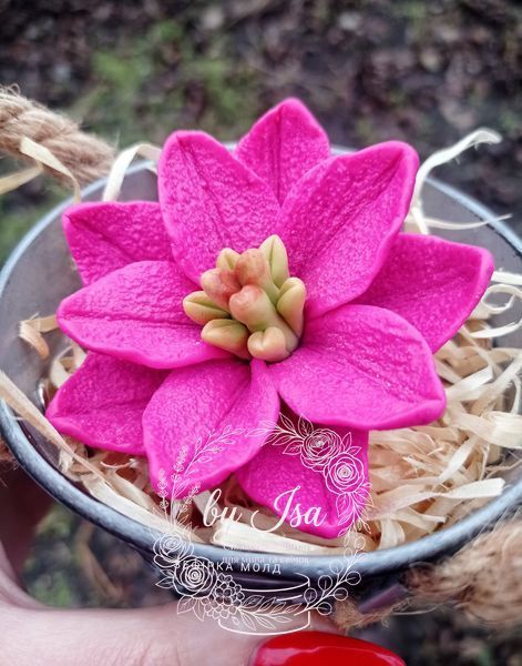 Semi-double lily ROSELILY