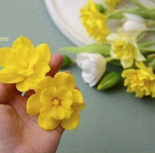 Crowned Narcissus