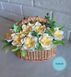 Crowned Narcissus