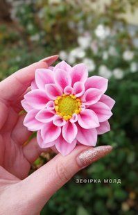 Dahlia Bonesta