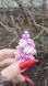 Katherine terry lilac series. Medium branch