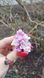 Katherine terry lilac series. Medium branch