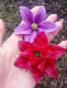 Клематис червоний махровий 0714 фото
