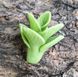 Mint Sprig