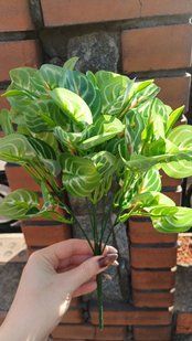 Greenery Exotic. Bush with 7 branches, up to 9 leaves on the 1st branch. Height 33 cm., Green