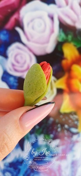 Poppy bud, escholzia, 1 on the form