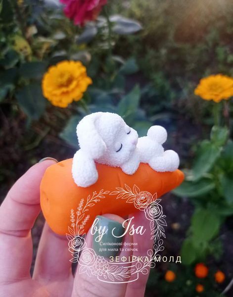 Bunny on a carrot