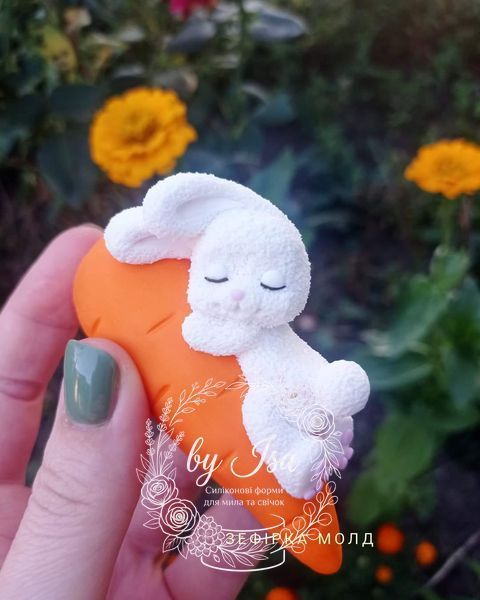 Bunny on a carrot