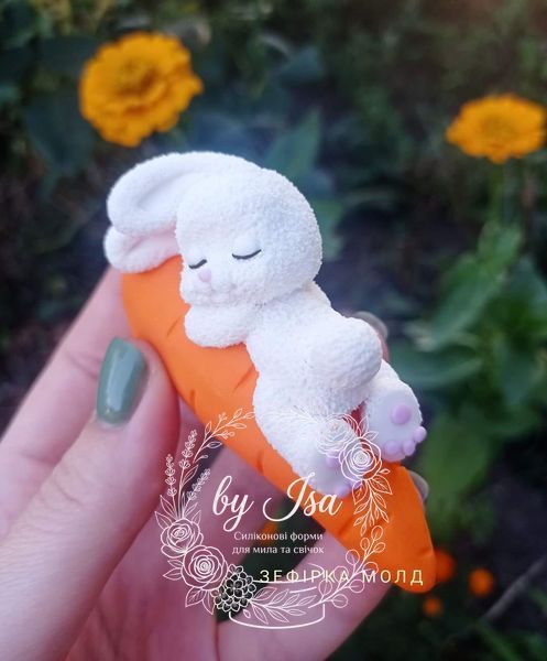 Bunny on a carrot
