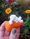 Bunny on a carrot