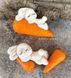Bunny on a carrot
