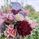 Chrysanthemum Pompon Pink