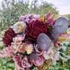 Chrysanthemum Pompon Pink