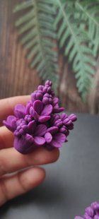 Lilac. Double twig